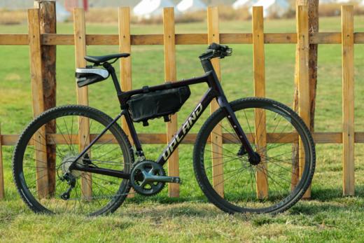 生肖猪全能平把公路车禧玛诺变速公路车 商品图5