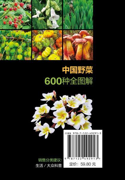 中国野菜600种全图解 商品图10