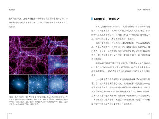 《模拟宇宙：我们生活在虚拟世界吗》 商品图5