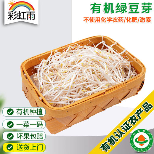 有机绿豆芽200g自然发芽无化学农药激素清脆爽口满额包邮 商品图0