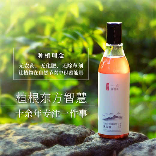 无患子玫瑰植物沐浴液纯植物配方无刺激 商品图3