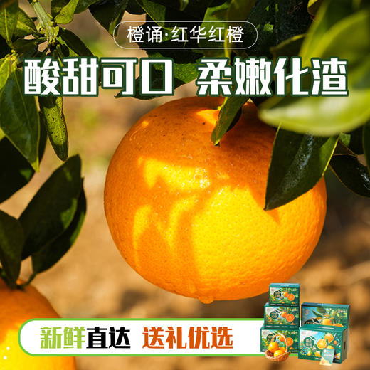 【京东快递】秭归中华红橙 橙子界的营养课代表 9甜1酸 99%无籽 皮薄肉厚 化渣度高超强爆汁 沁心爽口 ACS 商品图5