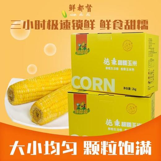 【鲜都督·甜糯玉米】 2kg礼盒装 商品图0