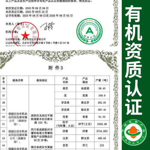 有机绿豆芽200g自然发芽无化学农药激素清脆爽口满额包邮 商品图1