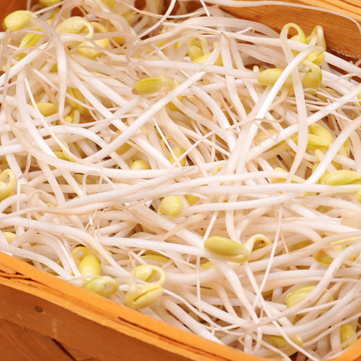 有机蔬菜黄豆芽200g自然发芽无化学农药激素清脆爽口满额包邮 商品图6