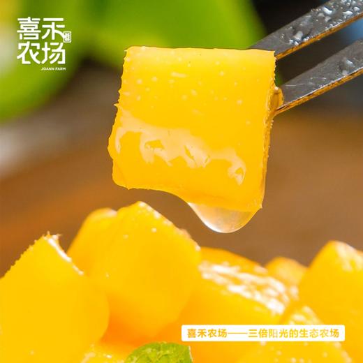 喜禾农场金煌芒6斤装（4-6个）| 树上自然成熟、香甜多汁、个大肉厚、回味悠长 商品图1