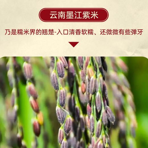 【顺丰发货】黑金紫米流心八宝饭 350g*5碗 米其林大厨私房定制 安佳黄油+禾草灰咸蛋黄+云南紫米等 清香软糯 流心细腻丝滑 好吃不腻 商品图7