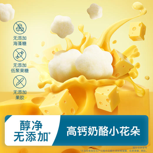 禾泱泱高钙奶酪花朵原味/香蕉味/蓝莓味/草莓味20g（5g*4） 商品图9