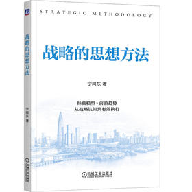 战略的思想方法 宁向东 战略思维 决策智慧 战略管理 企业经营管理学书籍