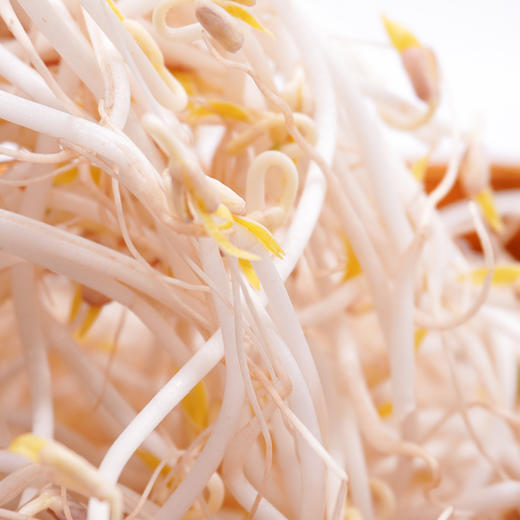 有机绿豆芽200g自然发芽无化学农药激素清脆爽口满额包邮 商品图4