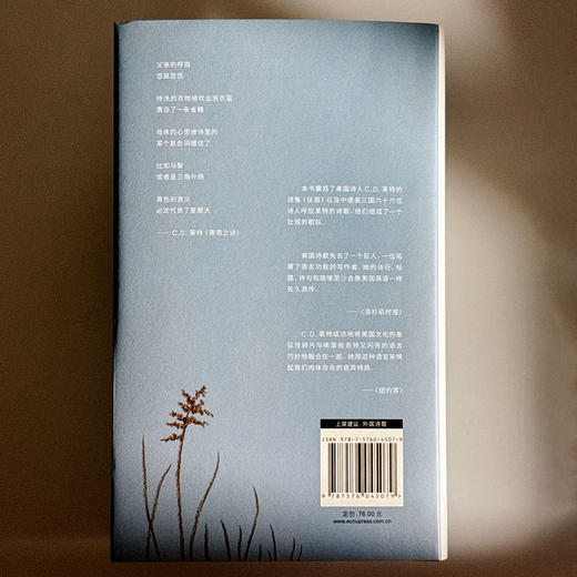 诗人的隐秘生活 莱特诗选 精装 C.D.莱特 商品图2