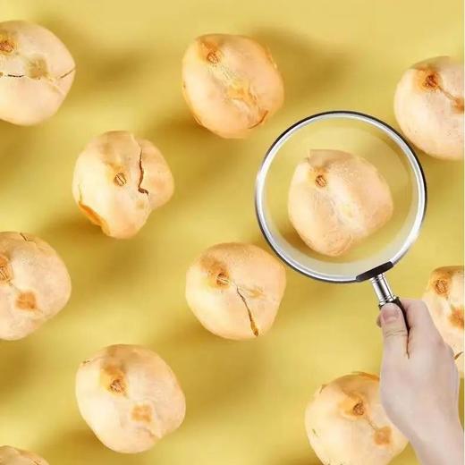 马小眼鹰嘴豆熟即食鹰嘴豆新疆特产杂粮豆浆伴侣零食小吃500g 商品图2