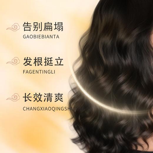 【古方植萃养发，秀发浓密如初】青邈堂 碌柚叶生姜何首乌草本植萃洗发水 商品图3