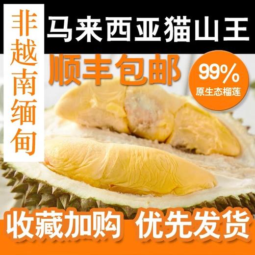 [最农公社]正品马来西亚猫山王榴莲鲜果树上熟 收到冷藏后立刻食用风味口感佳（顺丰京东陆运） 商品图4