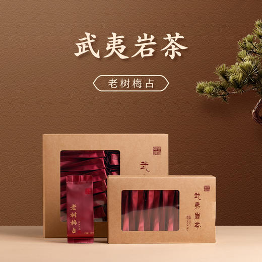 2023年武夷正岩老树梅占 商品图0