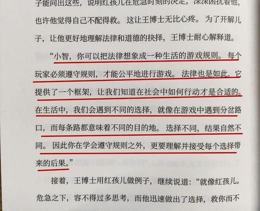 《王小智的法治奇幻游》 商品图2