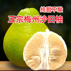 老树沙田柚2只/盒-礼盒款