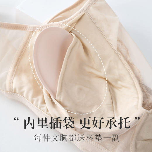 丁摩 真丝V领网纱大胸显小文胸 桑蚕丝超薄性感蕾丝无钢圈内衣S308 商品图1