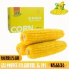 【鲜都督·甜糯玉米】 2kg礼盒装 商品缩略图2