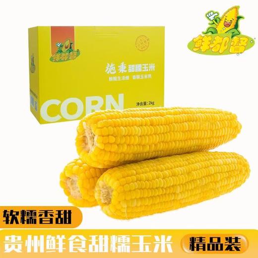 【鲜都督·甜糯玉米】 2kg礼盒装 商品图2