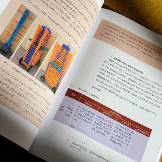 让建构自然发生 幼儿园“慧建构”活动的开发与实施 尹萍 聚焦师幼共生 商品图11