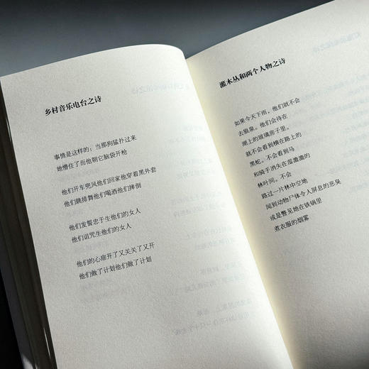 诗人的隐秘生活 莱特诗选 精装 C.D.莱特 商品图8