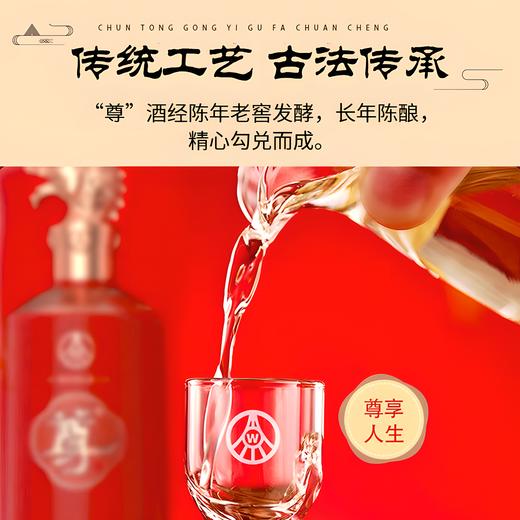 一价到底 【五粮液·尊酒】龙年限定 宜宾总厂 经典五粮 限时福利 开仓放价 商品图1