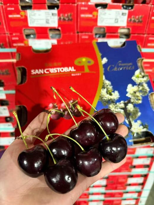 【觅趣小铺·智利车厘子-船运】智利皇室科迪亚车厘子 黑钻级典藏 商品图1