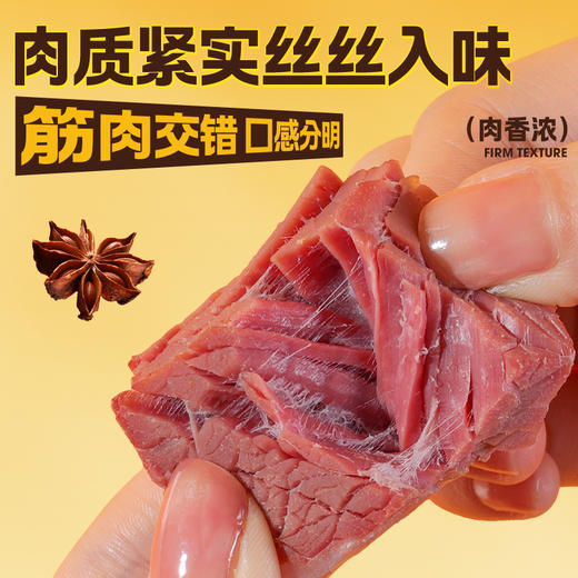 【新品】小袋装酱牛肉零食 商品图3