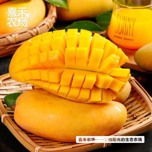 喜禾农场金煌芒6斤装（4-6个）| 树上自然成熟、香甜多汁、个大肉厚、回味悠长 商品图0