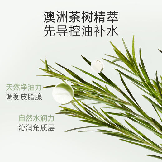 【控油洁面乳】 深层清洁 温和洁净 收敛毛孔 茶树控油氨基酸洁面乳100g 商品图3