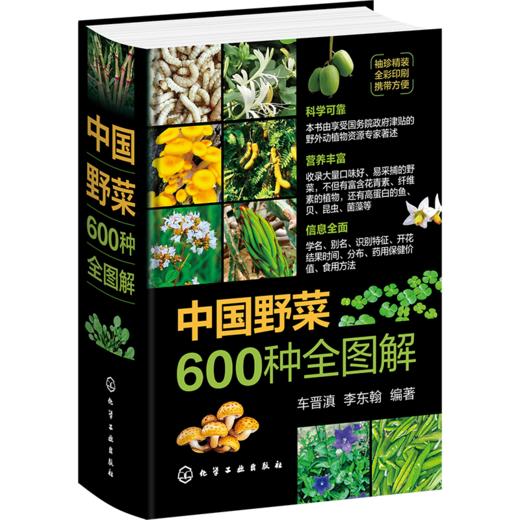 中国野菜600种全图解 商品图1