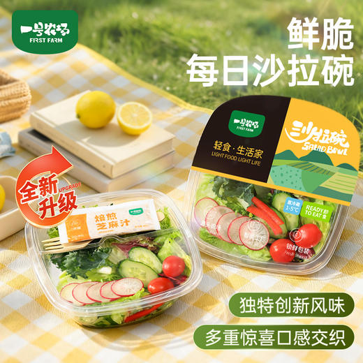一号农场春日焕新开盒即食每日系列沙拉碗混合蔬菜轻食代餐含酱叉 商品图3