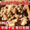 【黔南平塘】现挖小黄姜 农家自产 0.5kg/箱 商品缩略图0