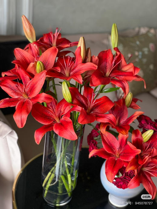 【精品百合】亚百合/红宝石 3头  5枝/扎 商品图1