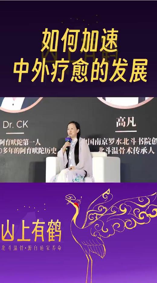 如何加速中外疗愈的发展 商品图0