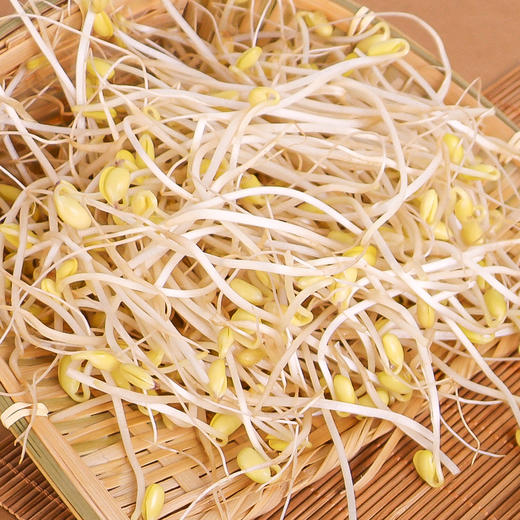 有机蔬菜黄豆芽200g自然发芽无化学农药激素清脆爽口满额包邮 商品图4