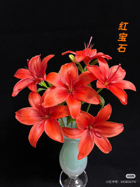 【精品百合】亚百合/红宝石 3头  5枝/扎