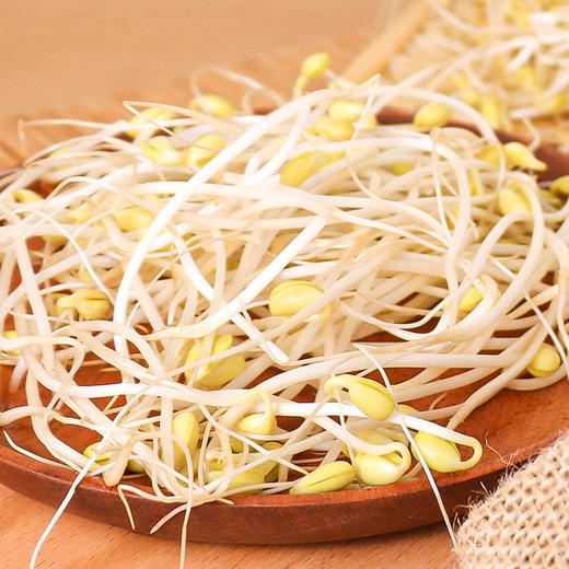 有机蔬菜黄豆芽200g自然发芽无化学农药激素清脆爽口满额包邮 商品图3