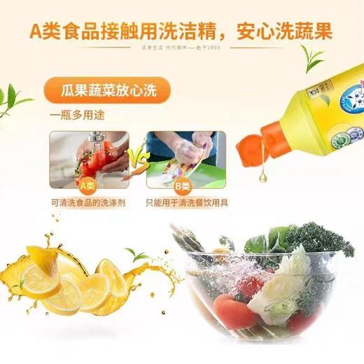 【ZK】白猫洗洁精 商品图2