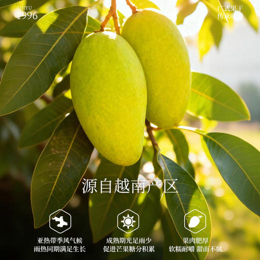 芒果干348克 商品图2