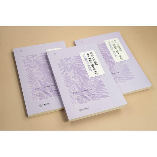 【印章签名版】最高人民法院关于审理劳动争议案件司法解释实务问答 法律出版 商品图1