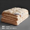 五星级酒店羽绒被95白鹅绒春秋被加厚冬季保暖婚庆被芯 商品缩略图3
