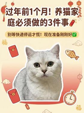 春节对猫有多危险？看完这篇你就懂为什么
