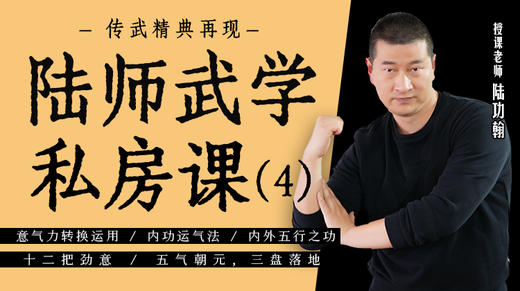 揭秘二：陆师秘传之内功运气法 商品图0