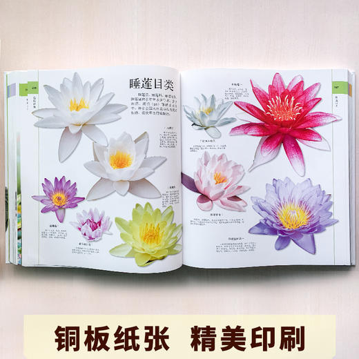 《博物大百科全书》正版少儿科学书籍探索自然万物的奥秘6-10-16岁 商品图9