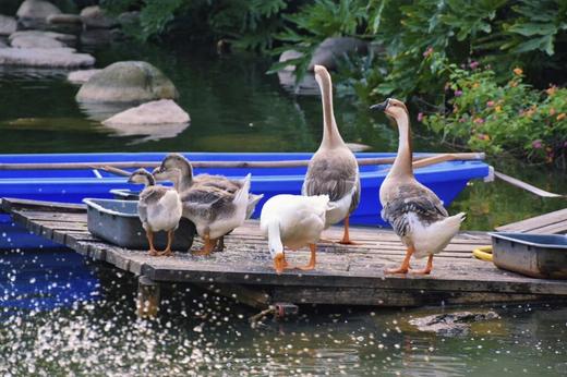 福州悦华酒店 × 1晚 / 2晚套餐丨周末不加价 商品图9