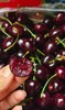 【觅趣小铺·智利车厘子-船运】智利皇室科迪亚车厘子 黑钻级典藏 商品缩略图4