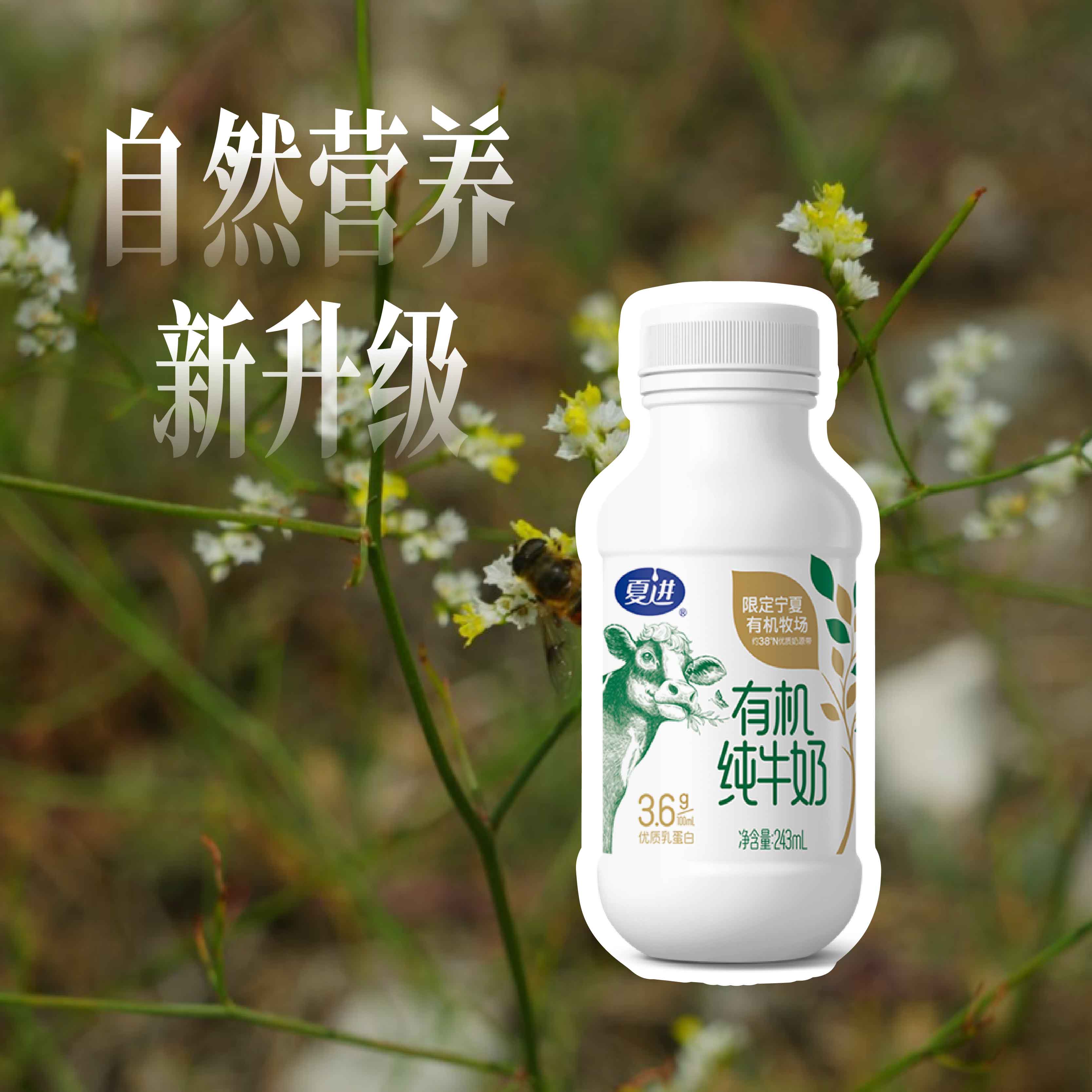 夏进瓶装有机纯牛奶（蛋白 3.6g）243ml×10瓶