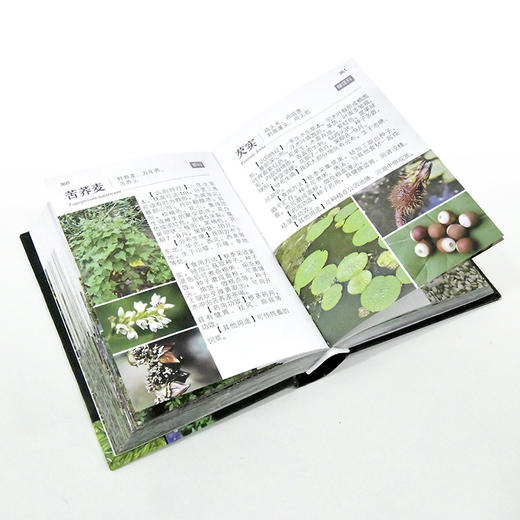 中国野菜600种全图解 商品图7